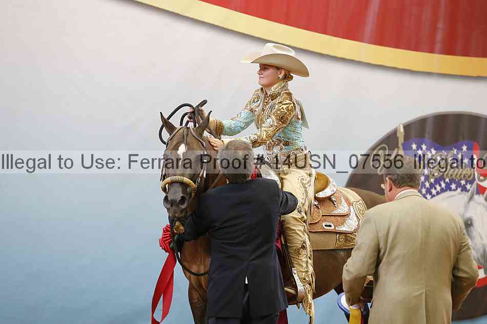 Proof 14usn_07556