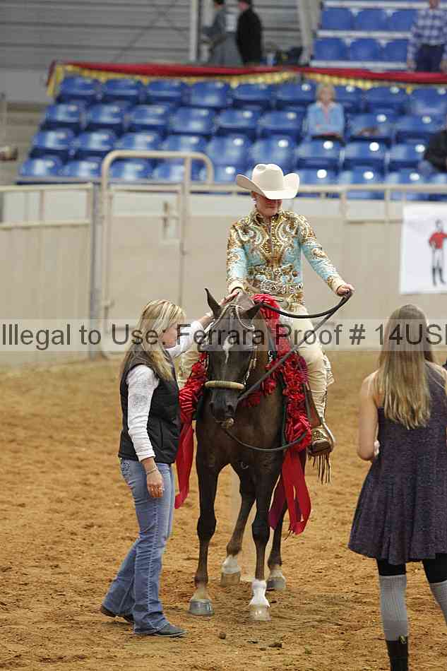 Proof 14usn_07565