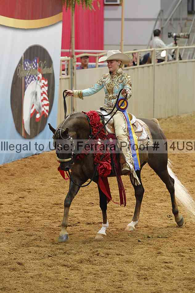 Proof 14usn_07585