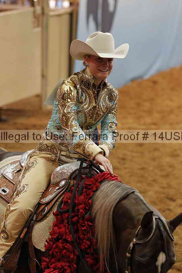 Proof 14usn_07587