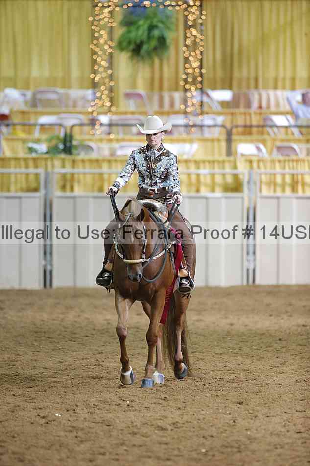 Proof 14usn_07589