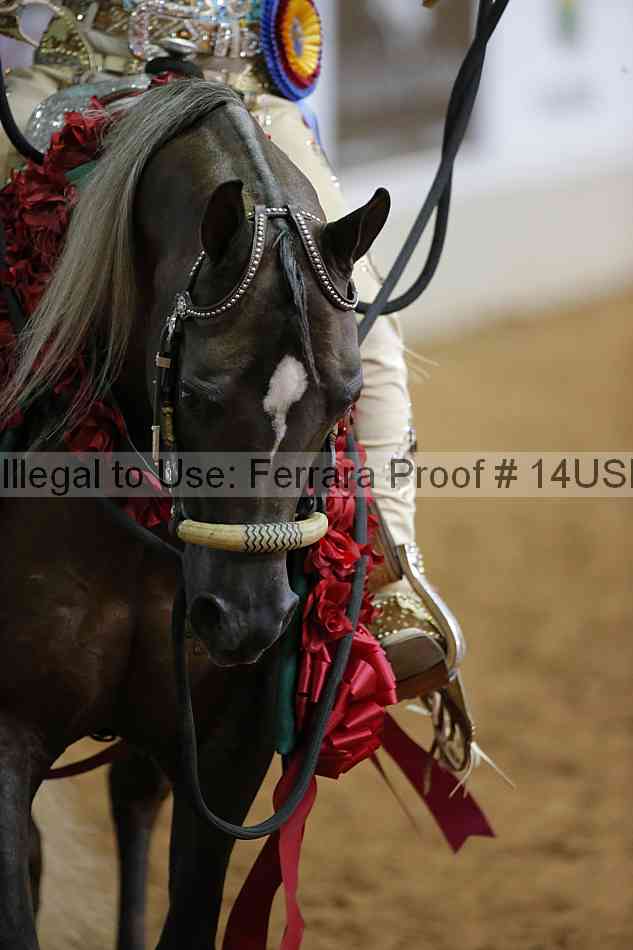Proof 14usn_07676