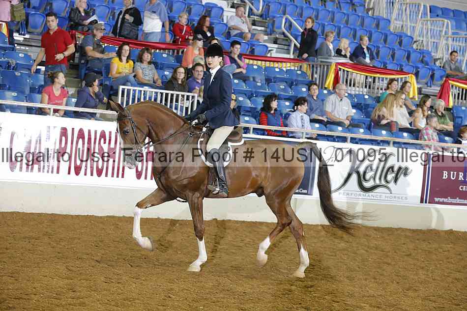 Proof 14usn_01095