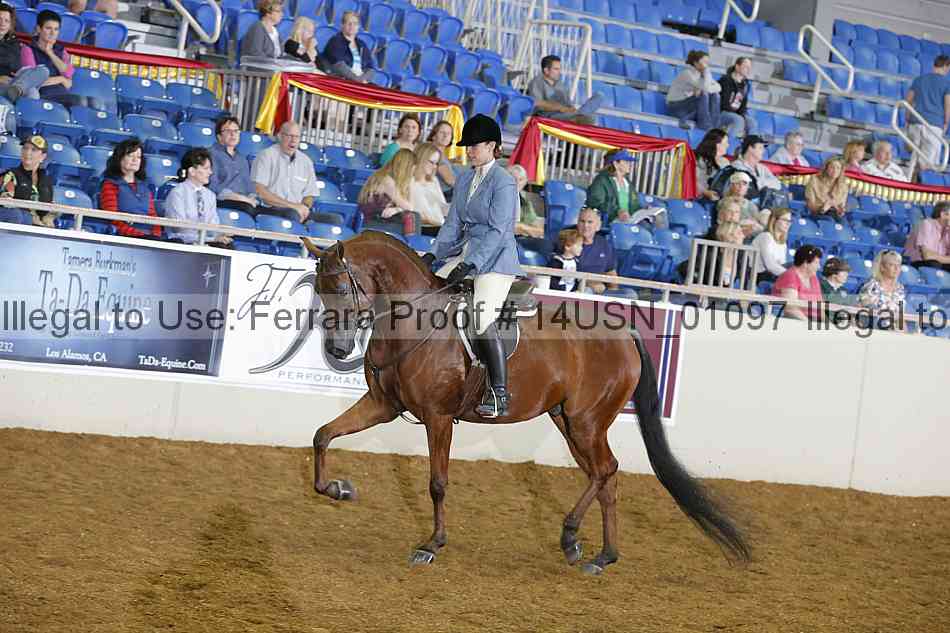 Proof 14usn_01097