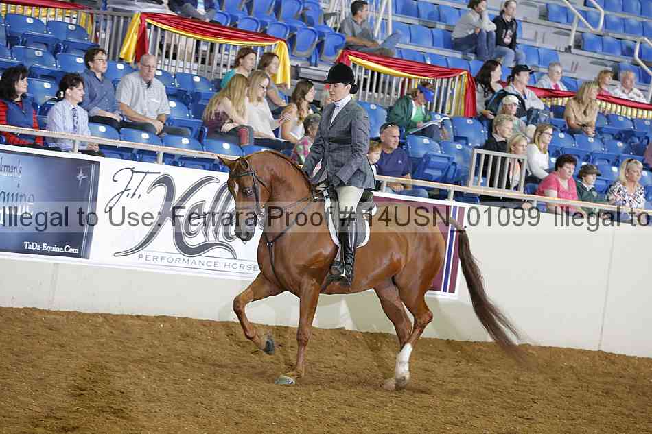Proof 14usn_01099