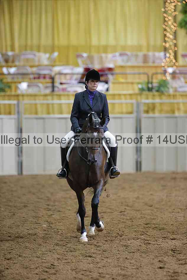 Proof 14usn_01100