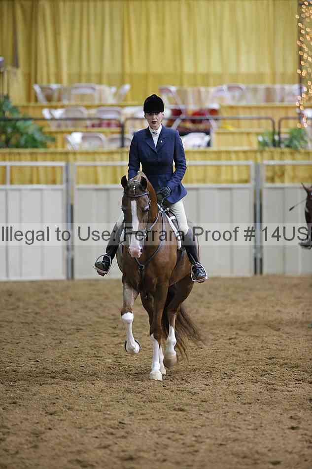 Proof 14usn_01103