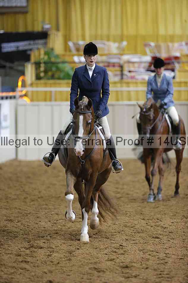Proof 14usn_01104