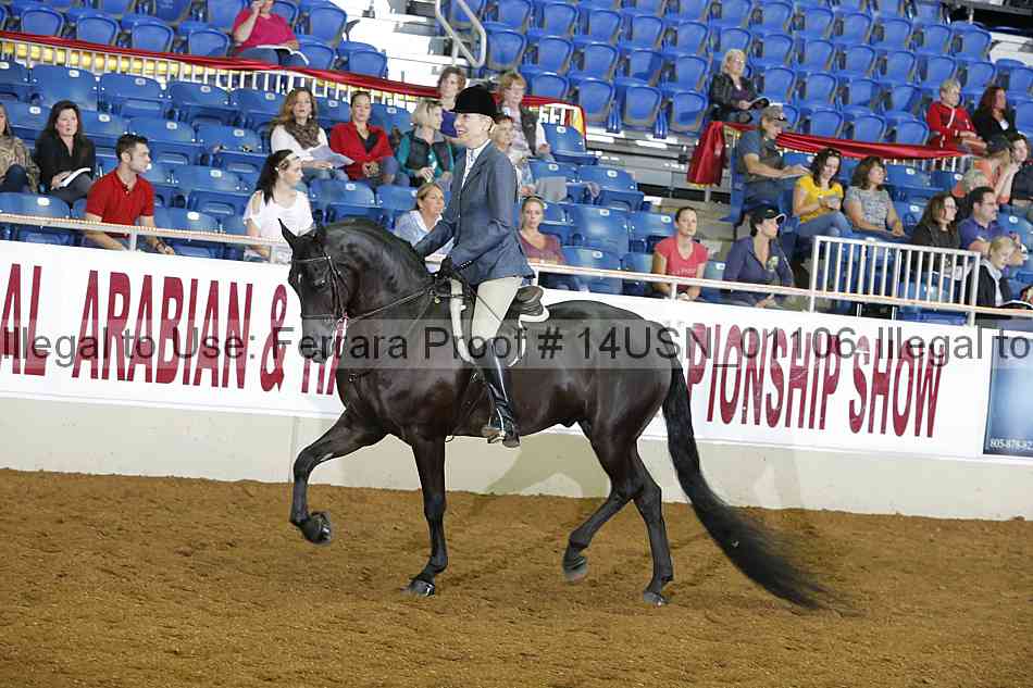 Proof 14usn_01106