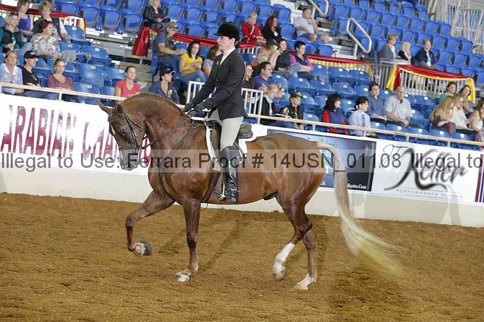 Proof 14usn_01108