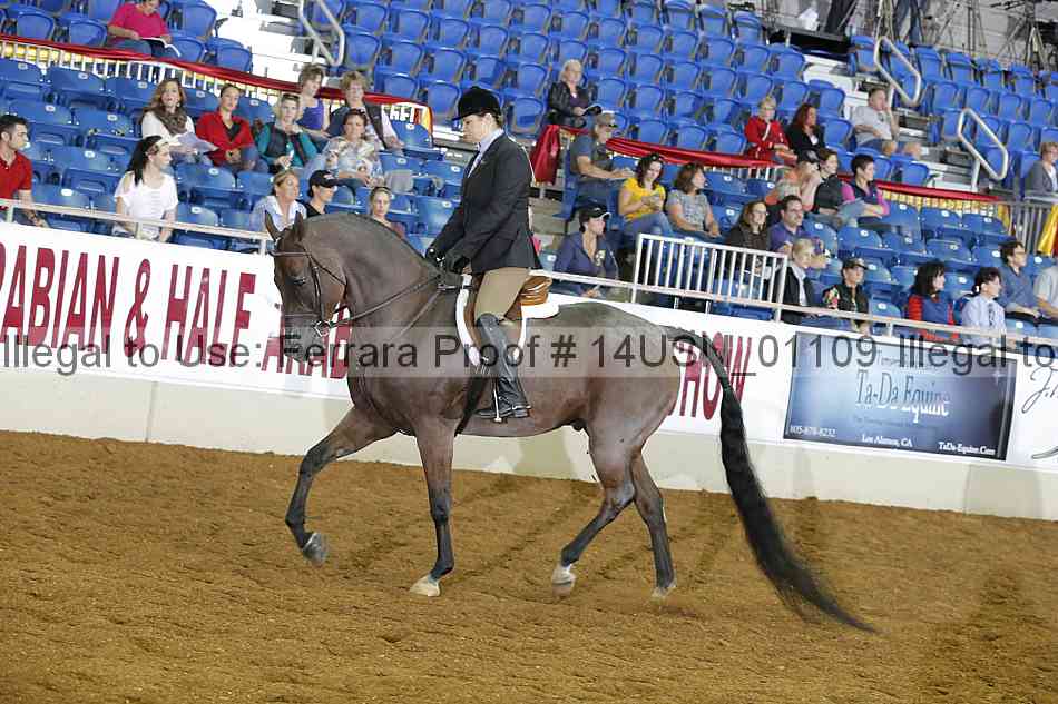Proof 14usn_01109