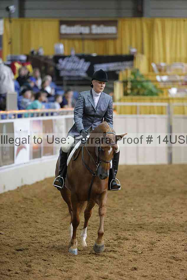 Proof 14usn_01113