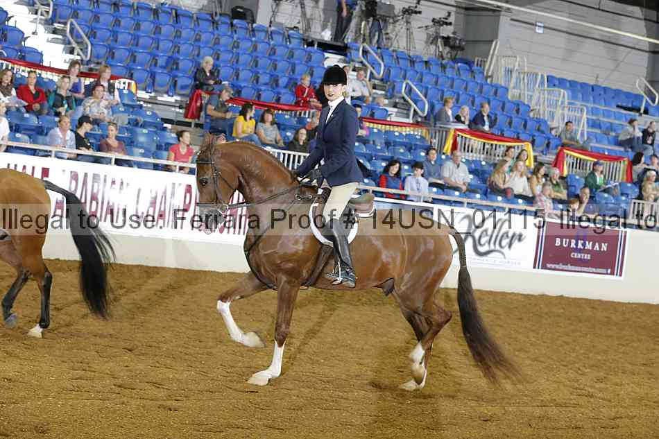 Proof 14usn_01115