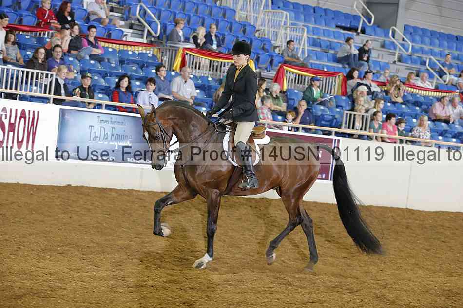 Proof 14usn_01119