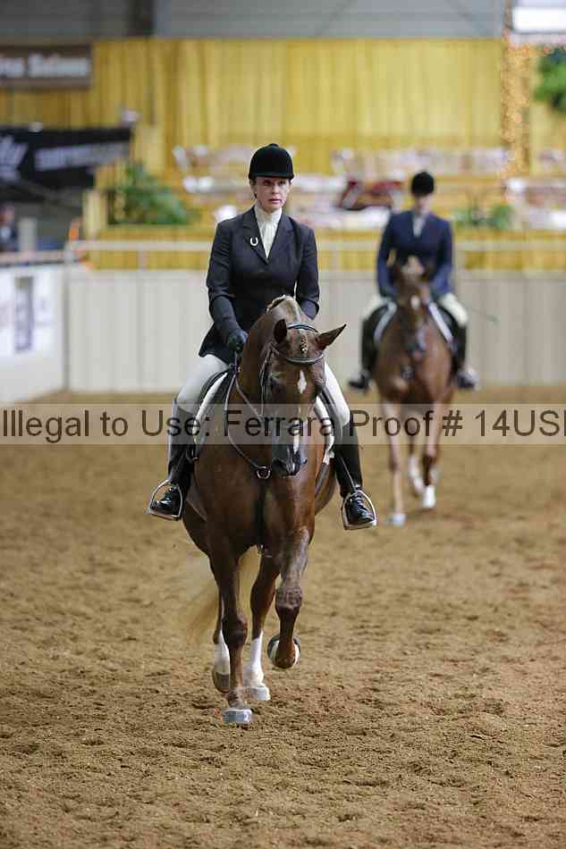 Proof 14usn_01135