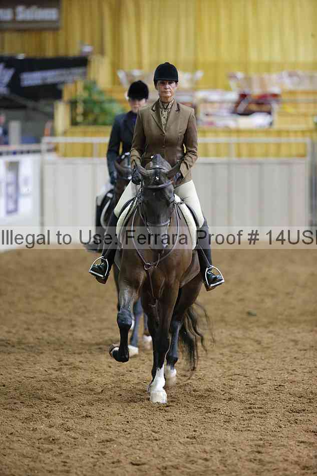 Proof 14usn_01137