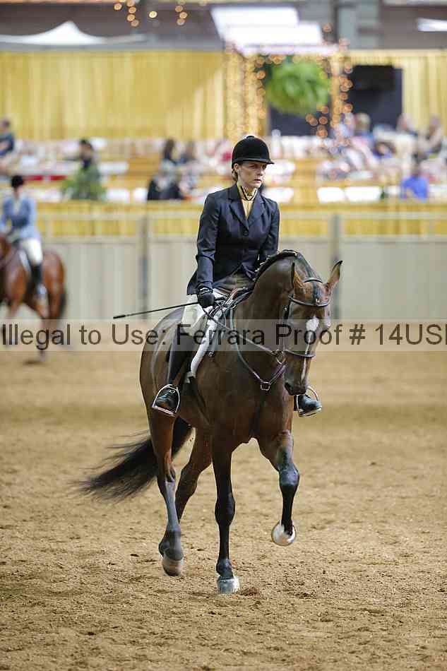 Proof 14usn_01141