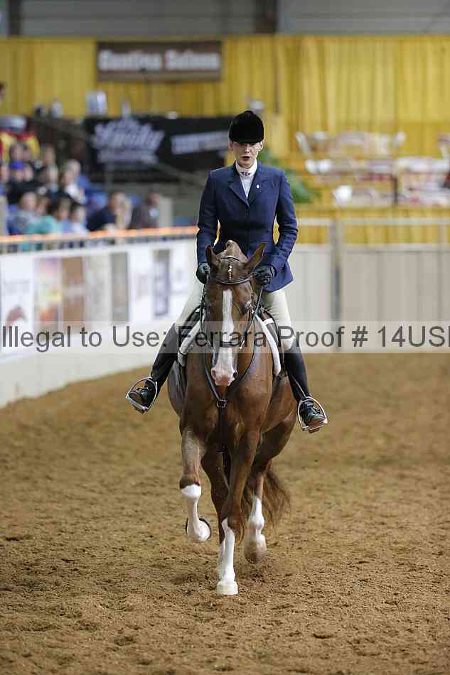 Proof 14usn_01143