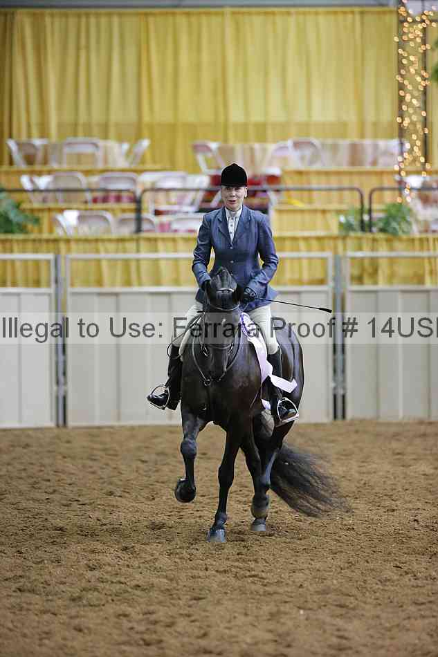 Proof 14usn_01145