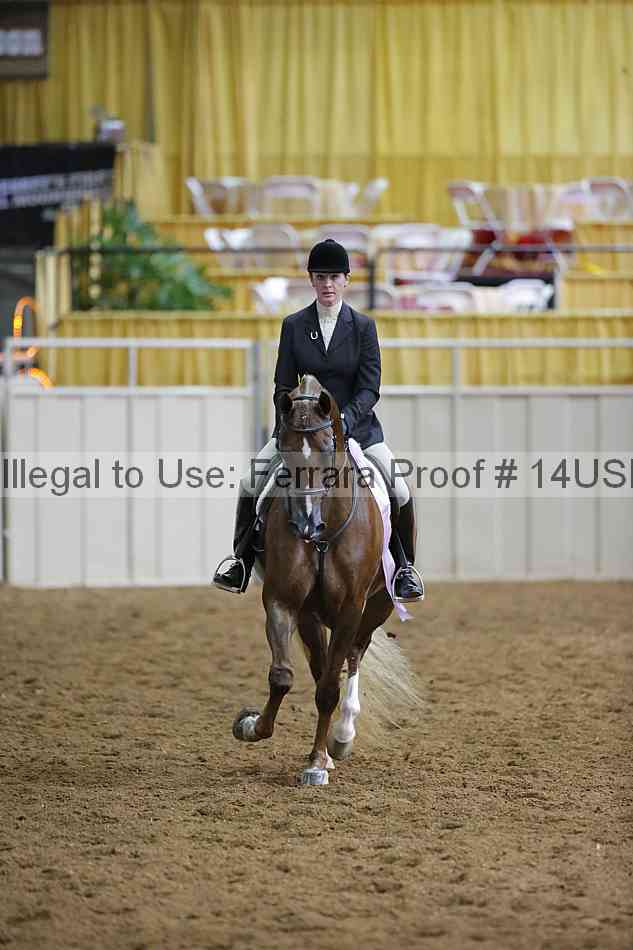 Proof 14usn_01155