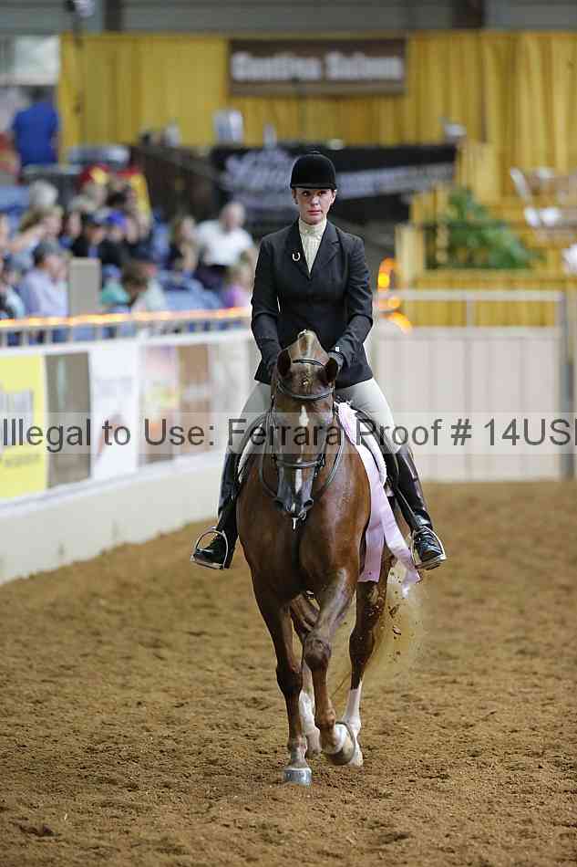 Proof 14usn_01156