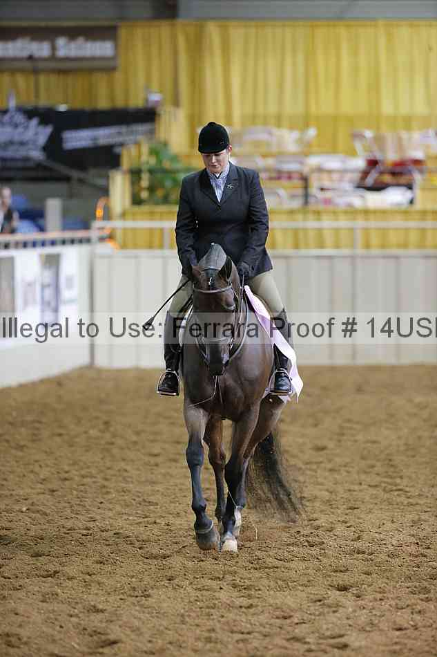 Proof 14usn_01158