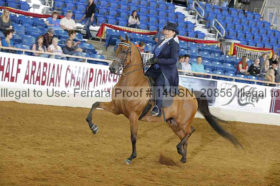 Proof 14usn_20856