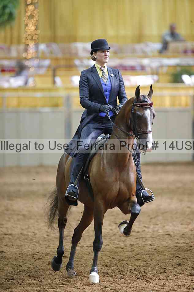 Proof 14usn_20869