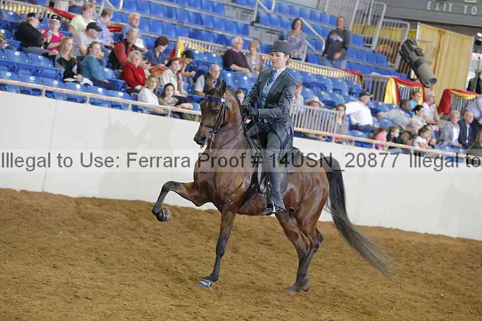 Proof 14usn_20877