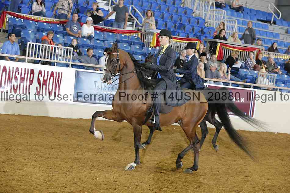 Proof 14usn_20880