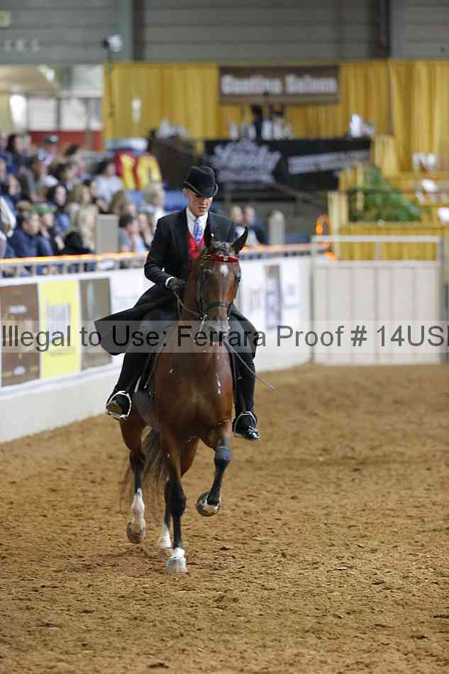 Proof 14usn_20881
