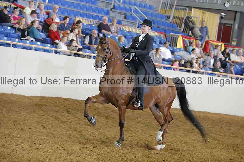 Proof 14usn_20883