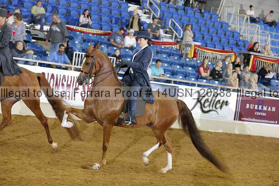Proof 14usn_20888