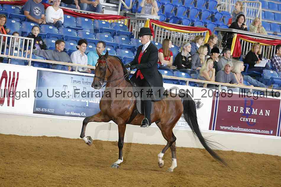 Proof 14usn_20889