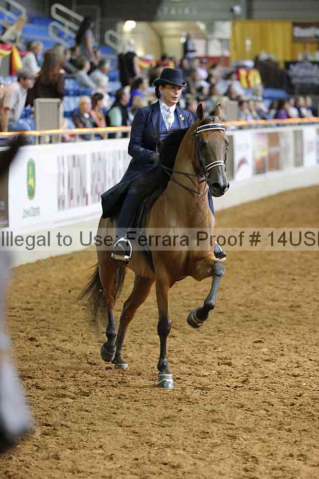 Proof 14usn_20891