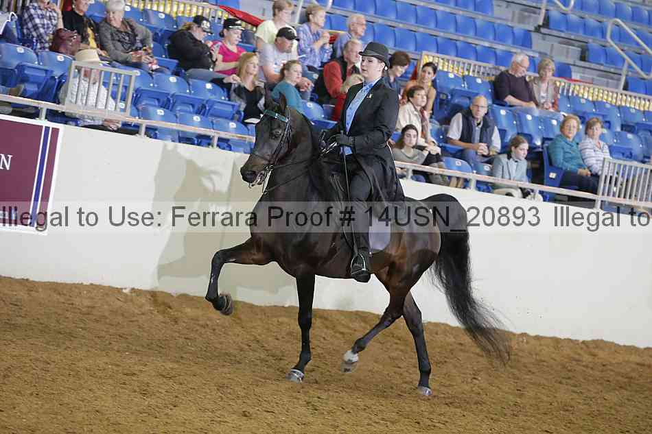 Proof 14usn_20893