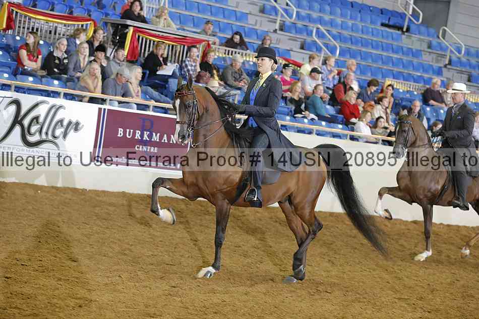 Proof 14usn_20895