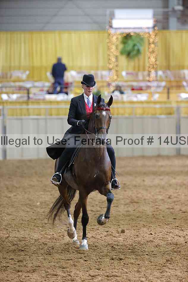Proof 14usn_20911