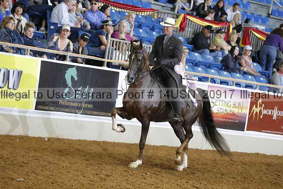 Proof 14usn_20917