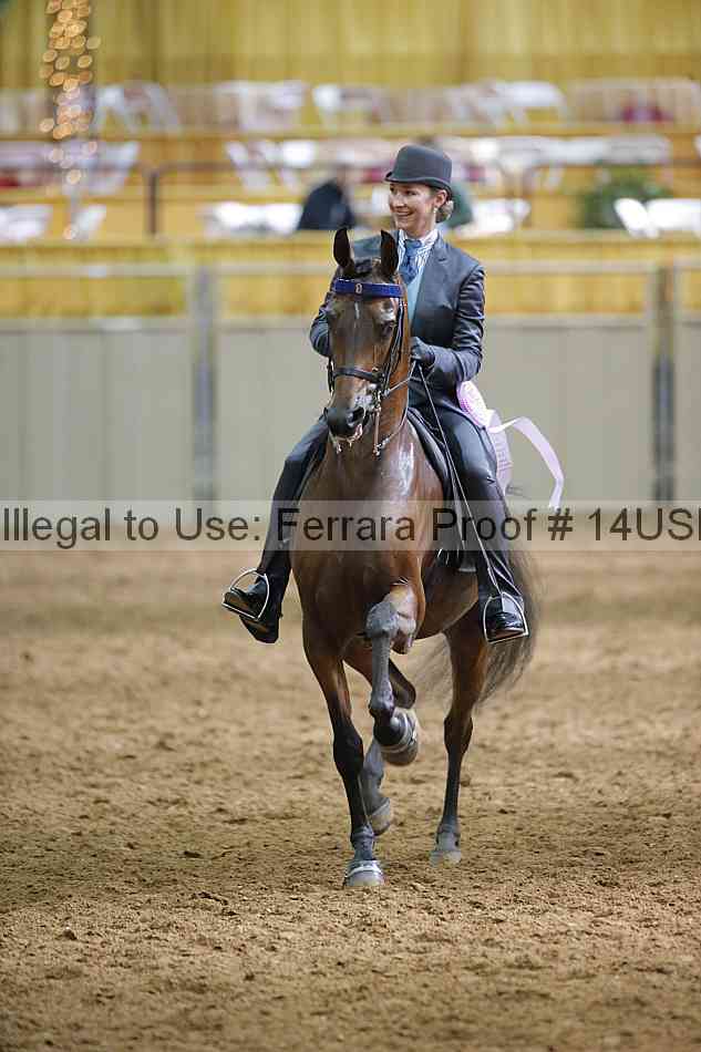 Proof 14usn_20929