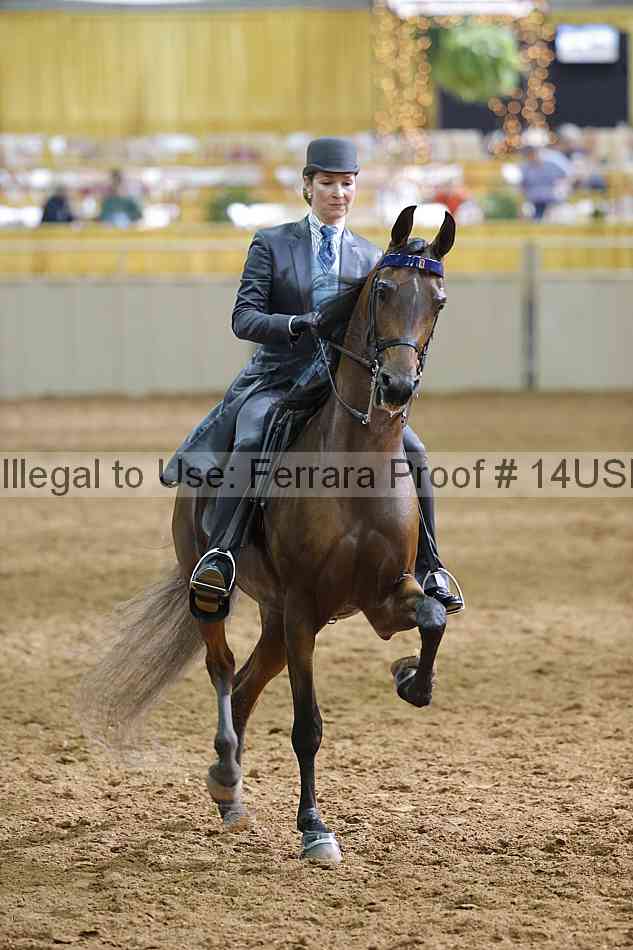 Proof 14usn_20931