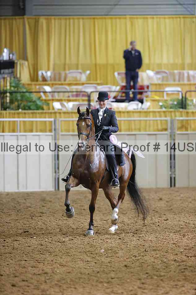 Proof 14usn_20934