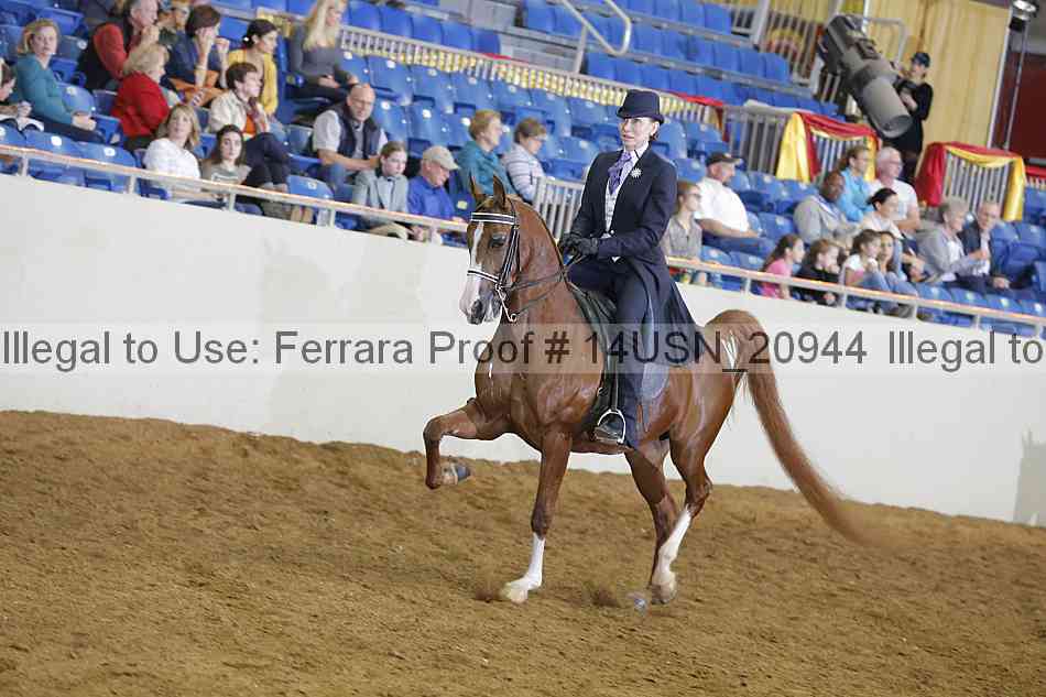 Proof 14usn_20944