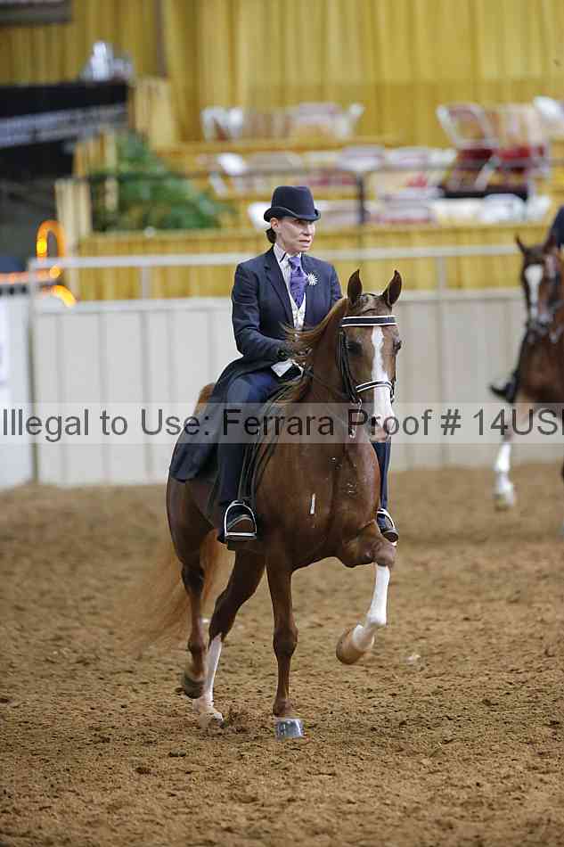Proof 14usn_20951