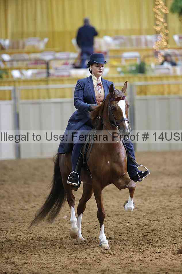 Proof 14usn_20952
