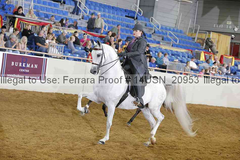 Proof 14usn_20953