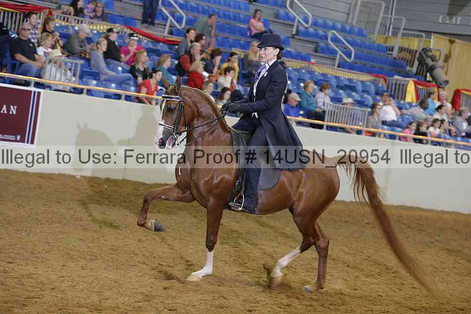 Proof 14usn_20954