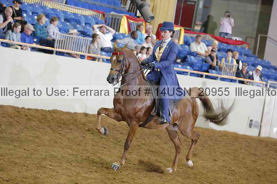 Proof 14usn_20955