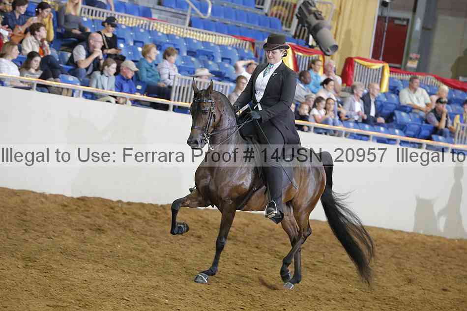Proof 14usn_20957