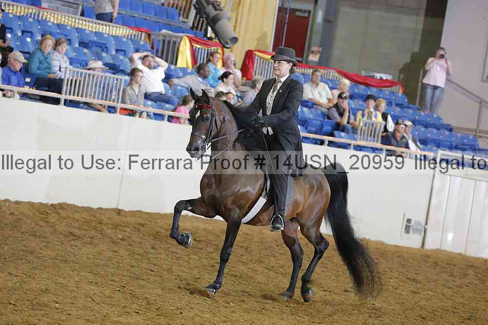 Proof 14usn_20959